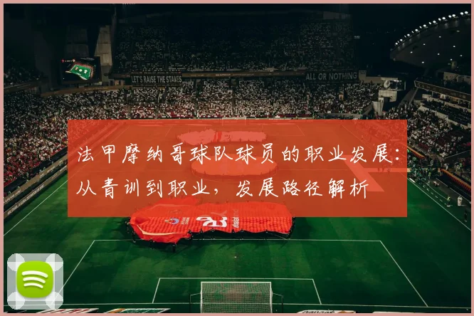法甲摩纳哥球队球员的职业发展：从青训到职业，发展路径解析