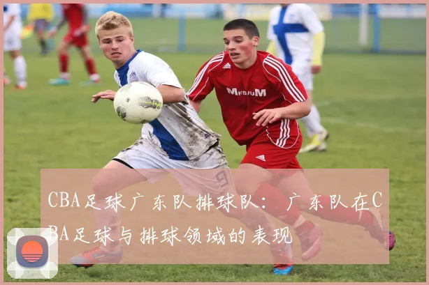 CBA足球广东队排球队：广东队在CBA足球与排球领域的表现