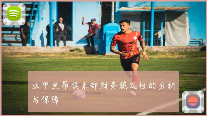 法甲里昂俱乐部财务稳定性的分析与保障
