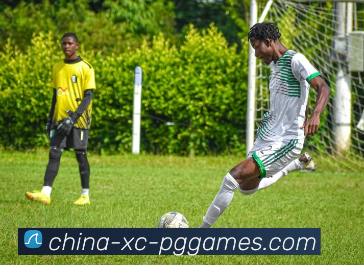 PG模拟器平台生态图